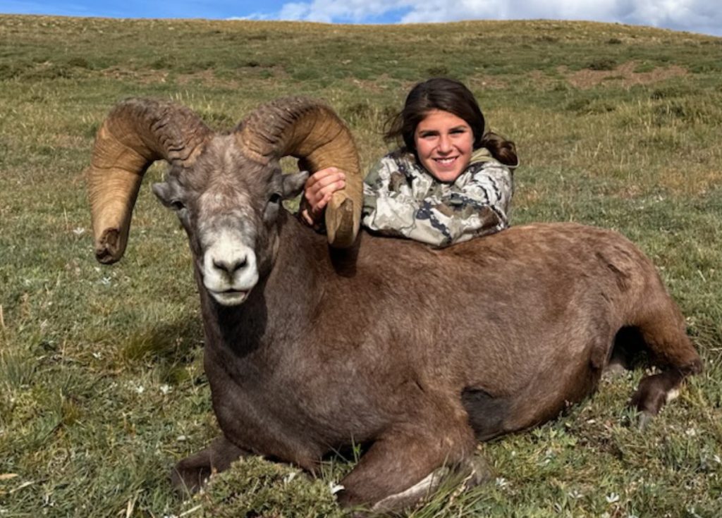 2024 Kiowa Bighorn sheep Trophy photo