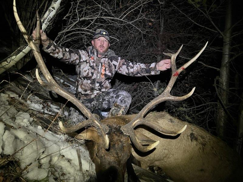 Bull elk trophy - Colorado