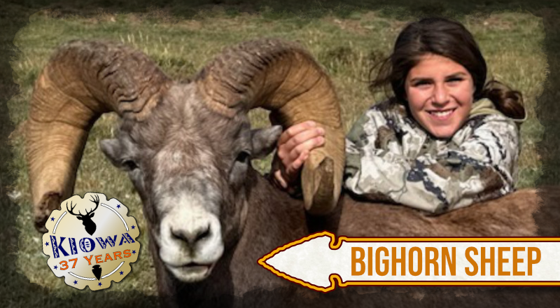 Kiowa Bighorn Sheep Trophy