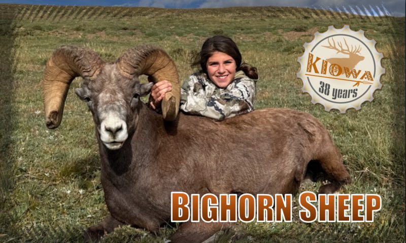Hunter and Bighorn Sheep