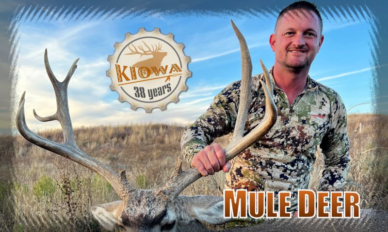 Hunter and Mule Deer