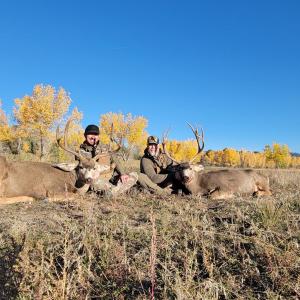 2024 Kiowa Mule Deer trophy photo