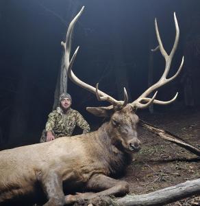 2024 Kiowa elk trophy photo