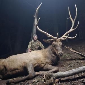 2024 Kiowa Elk trophy photo