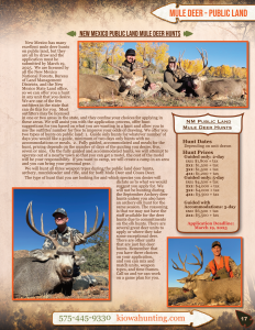 Kiowa 2025 Brochure - Page 17