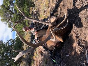 elk-2019-011