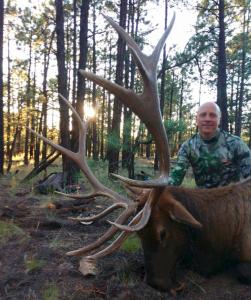 elk-2019-012