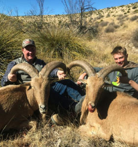 kiowa-aoudad-001