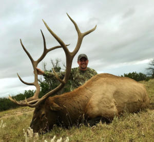 kiowa-elk-bull-010